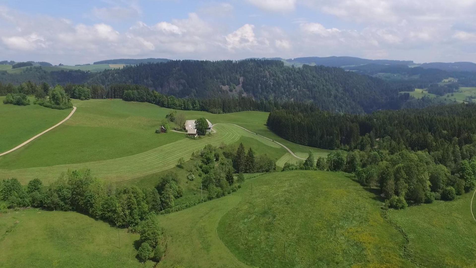 Ferienhaus Esche Hinterzarten Exterior foto