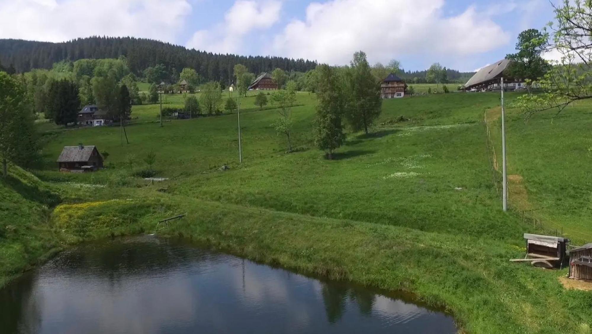 Ferienhaus Esche Hinterzarten Exterior foto