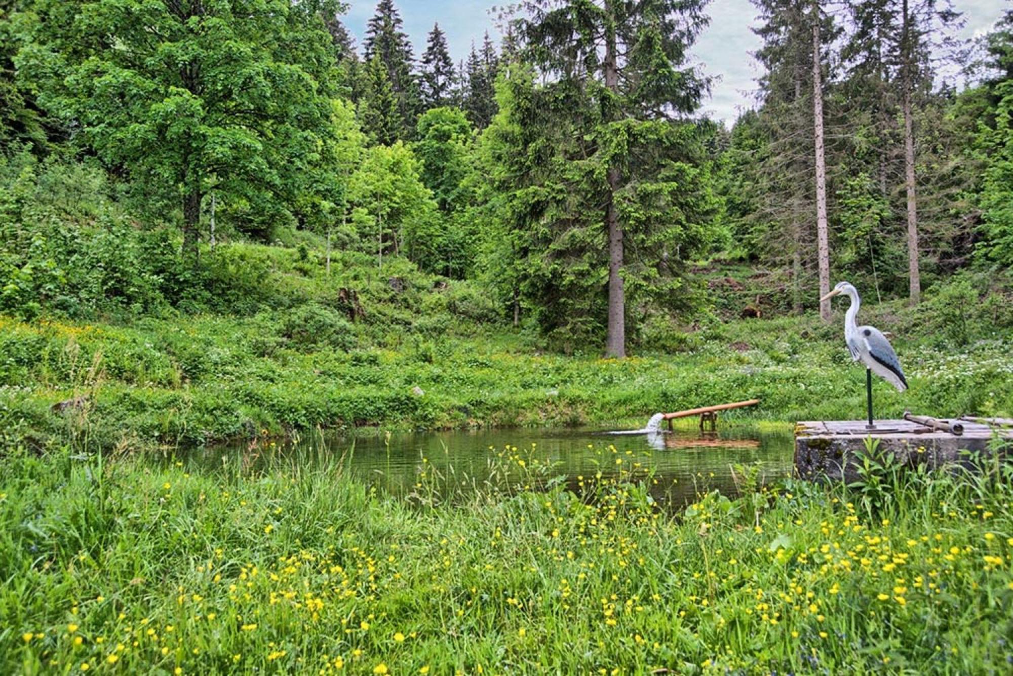 Ferienhaus Esche Hinterzarten Exterior foto